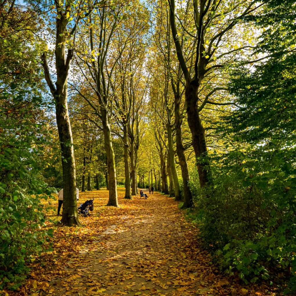 (vergroot foto)